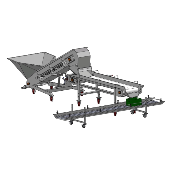 Loading belt from bins for heavy products with sorting table for bulky products and roller conveyor for crates